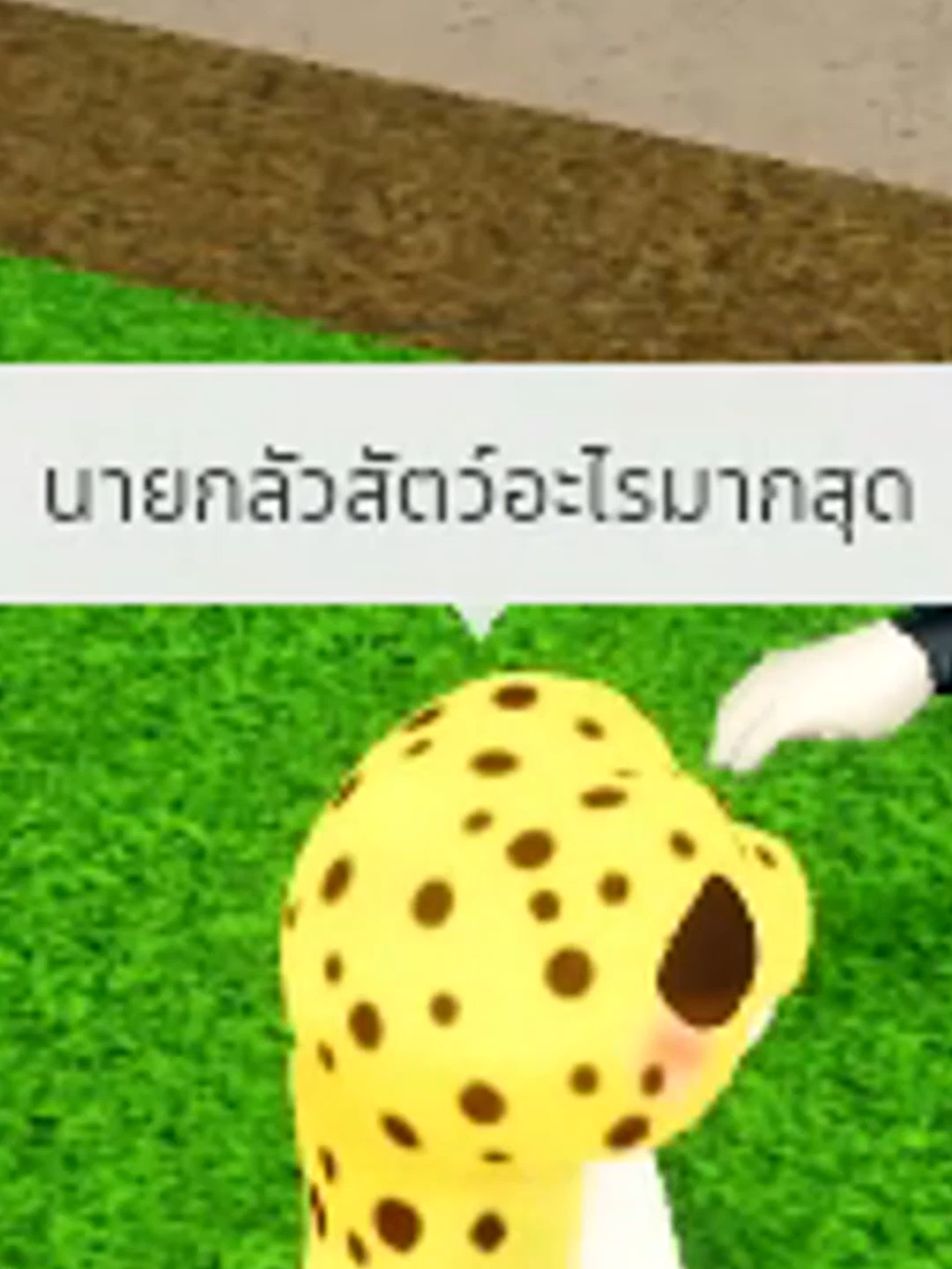 @KaiToon