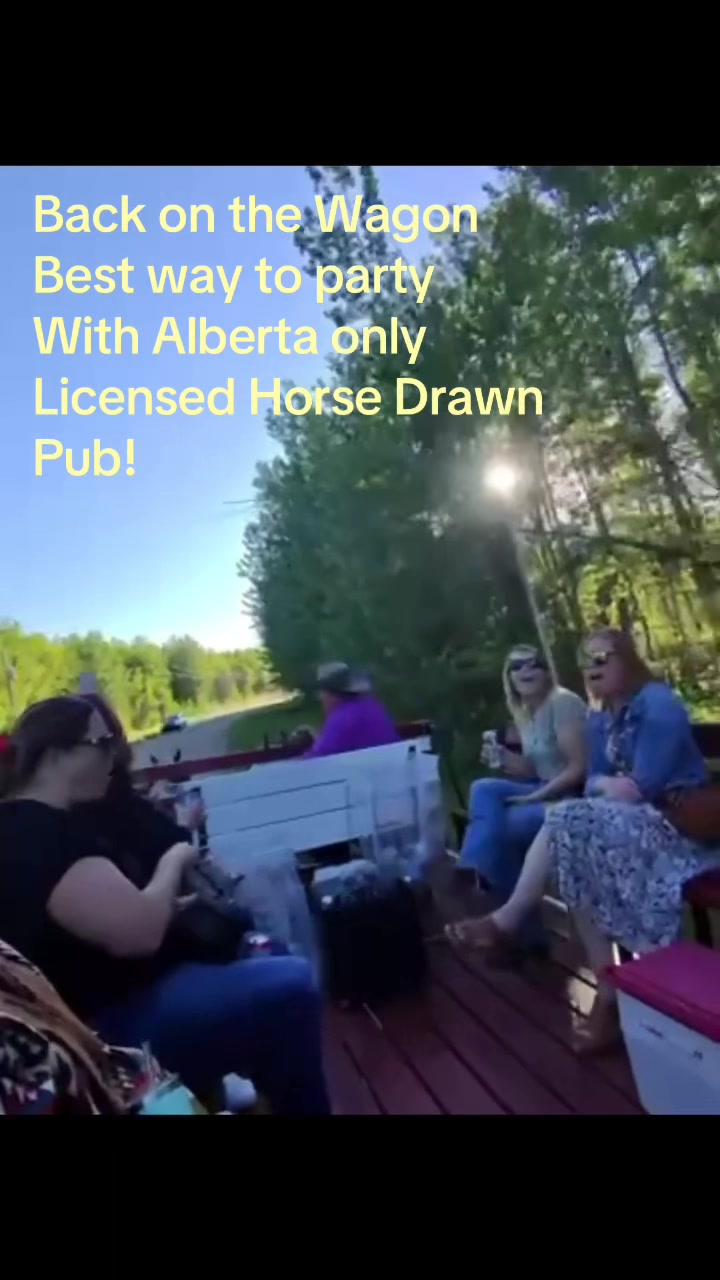 @Pigeon Lake Horse Drawn 🇨🇦