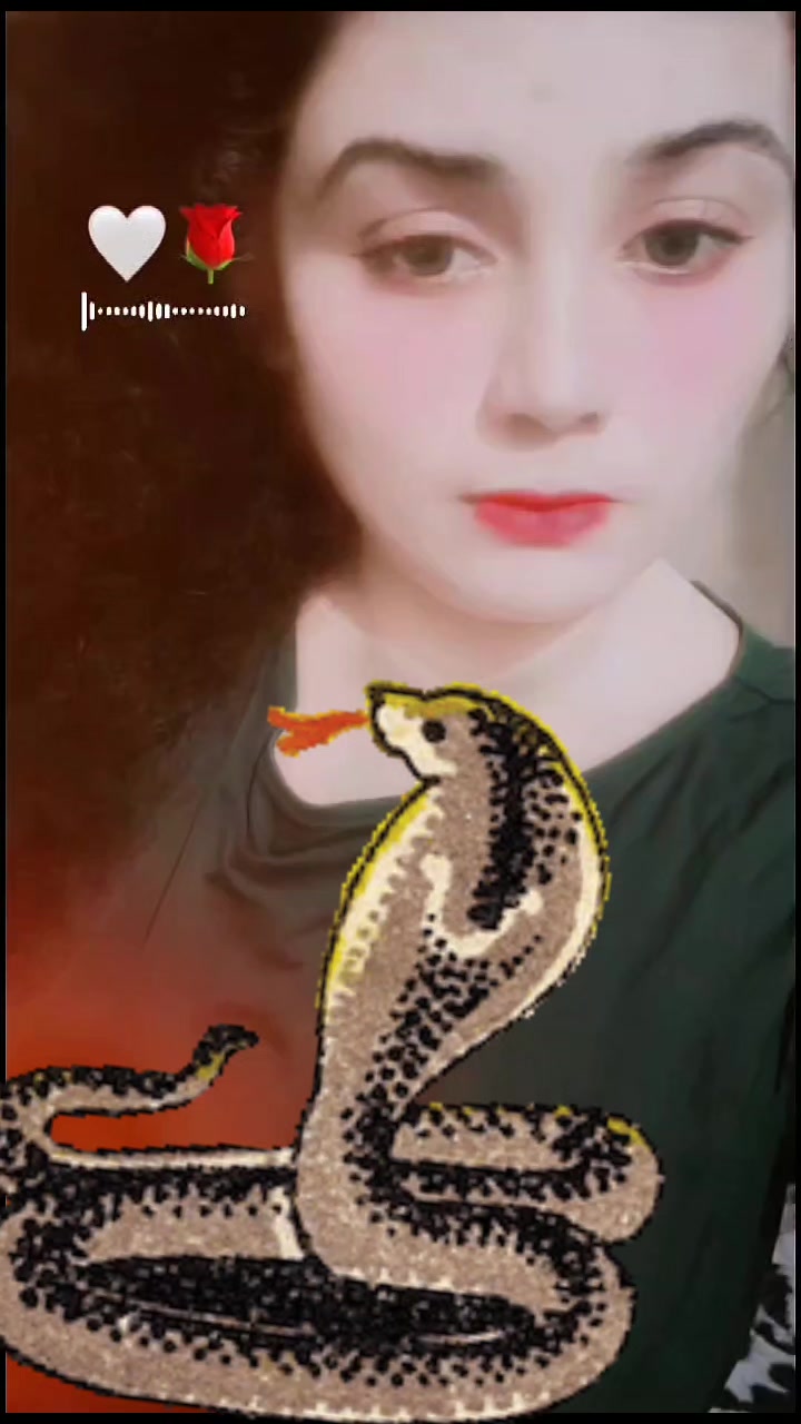 @Komal Murtaza