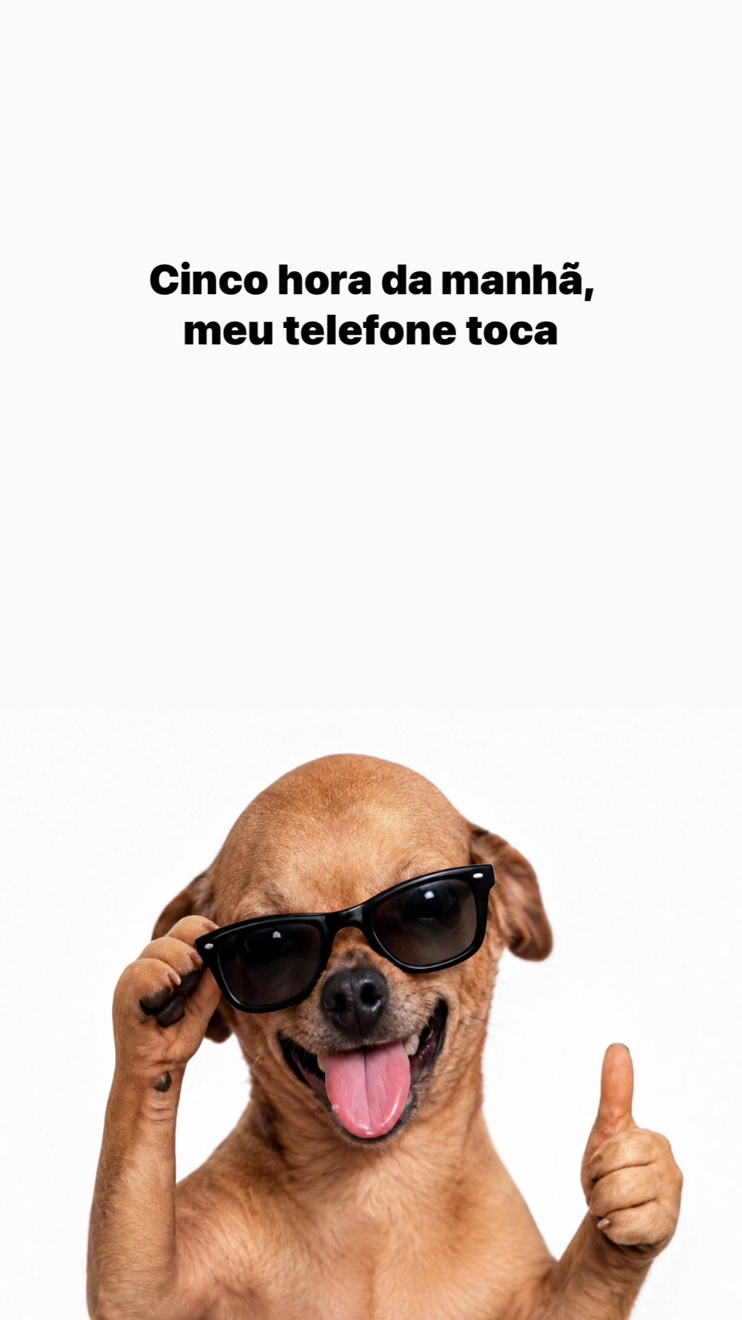 @user1606