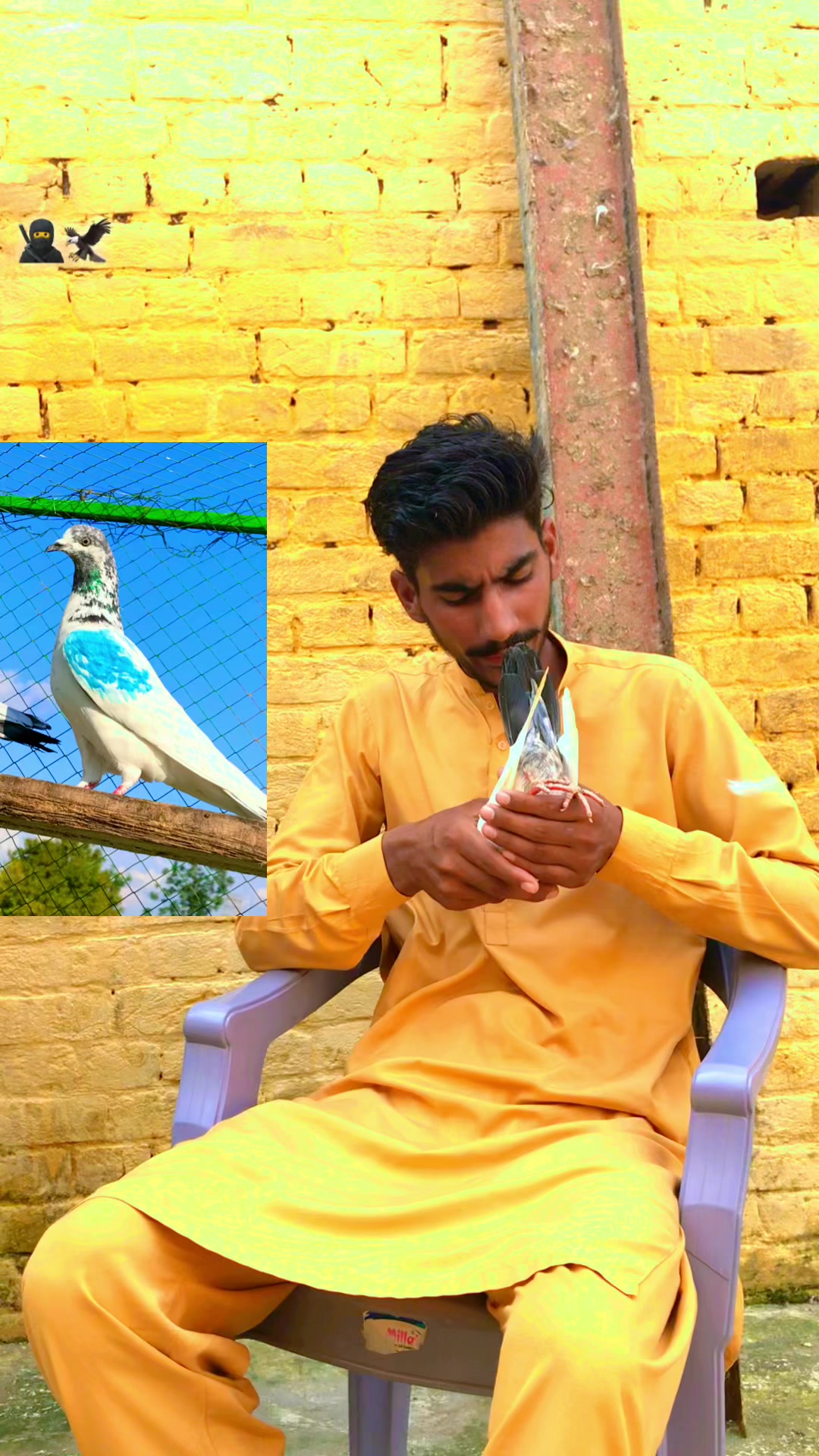 @Saif,Mughal,g