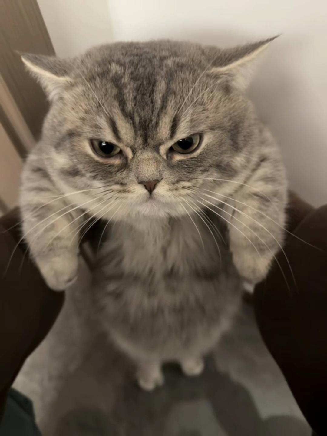 @bossyeuu