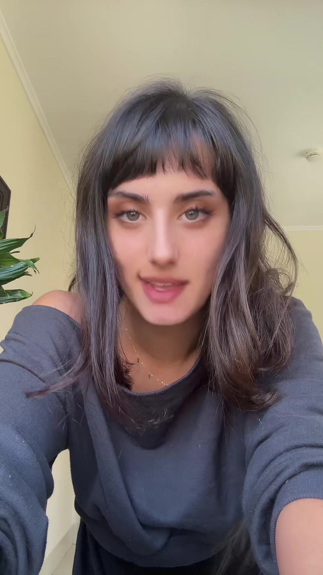 @ameera