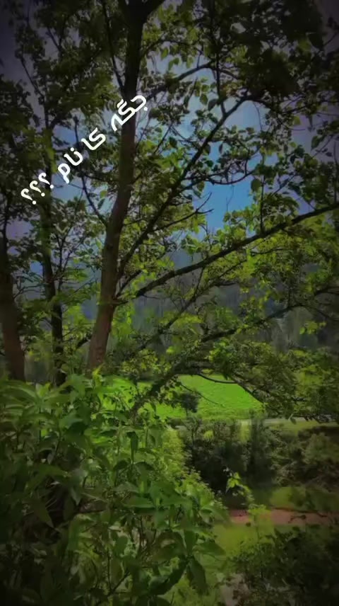 @🍁✌️ کشمیری ہو یار جی✌️🍁