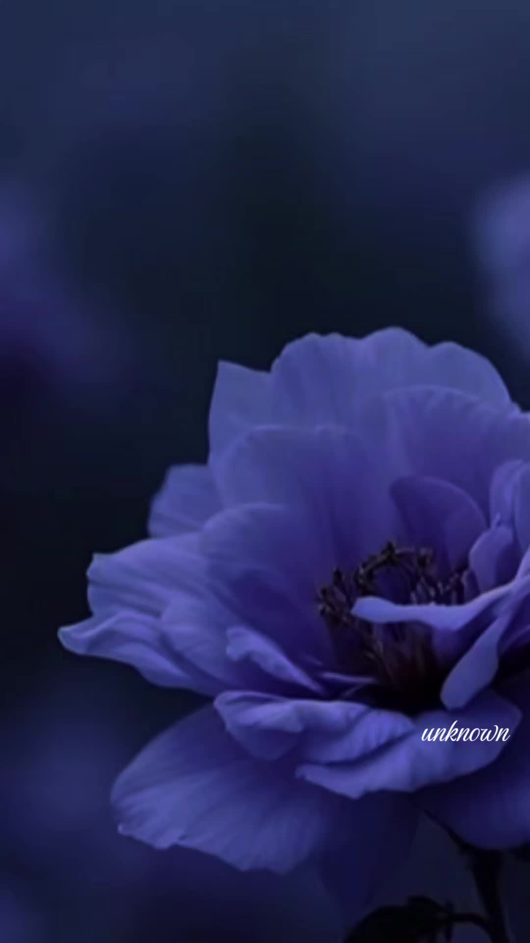 @unknown