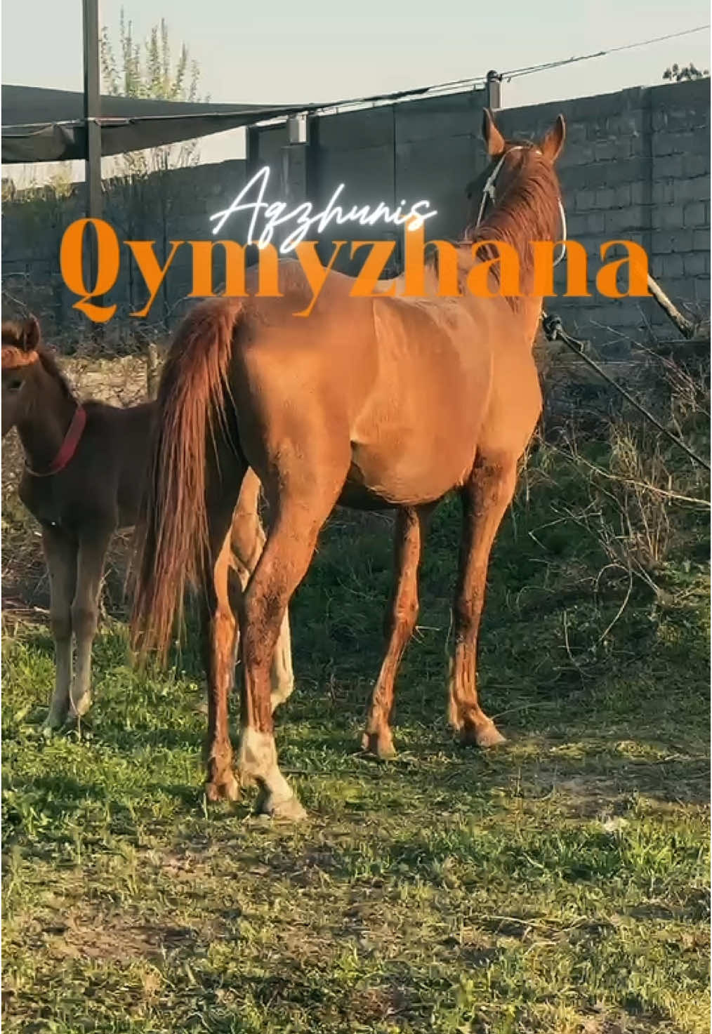 @AQZHUNIS QYMYZHANASY
