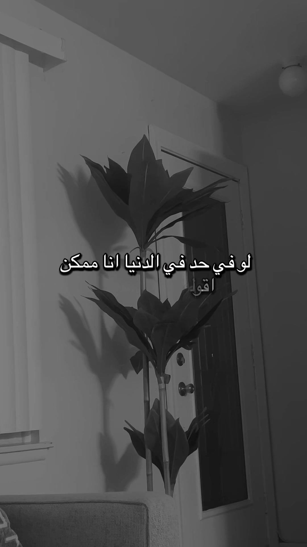 @Banoo✨🪻