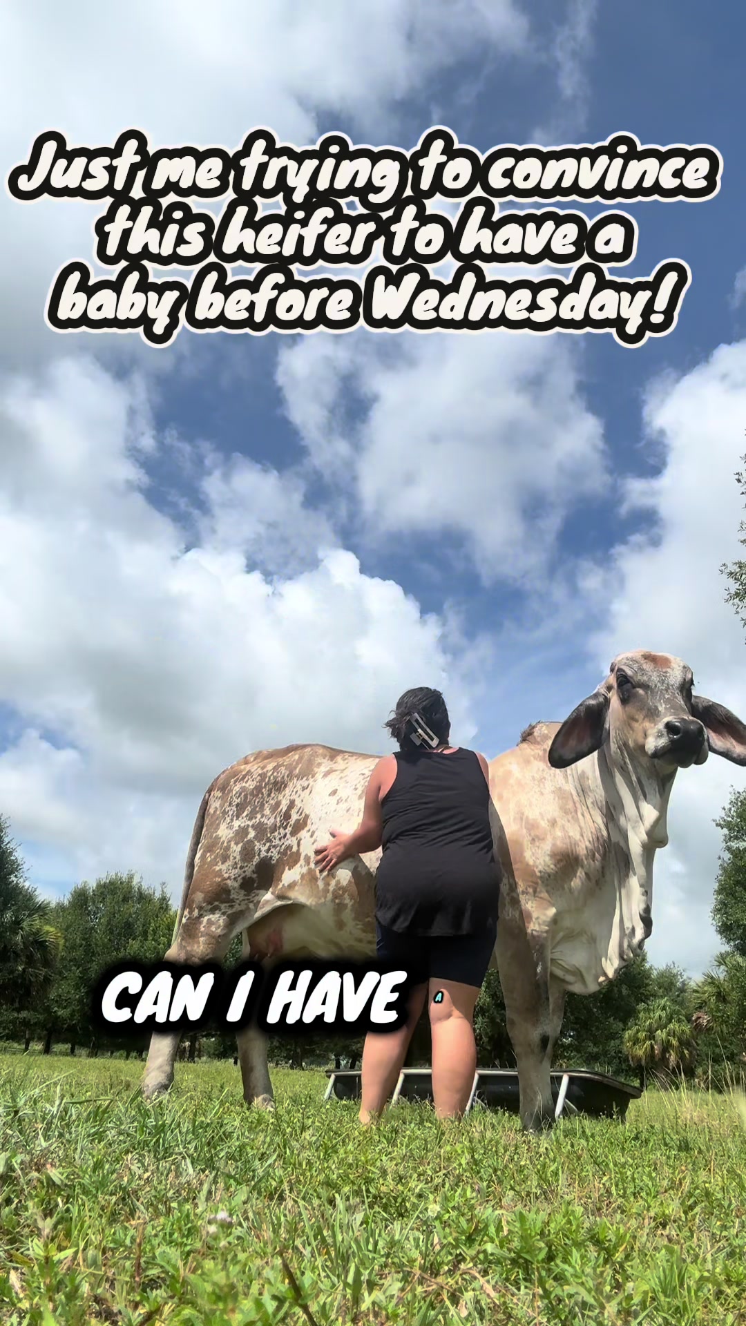 @TheFunnyFarmMom