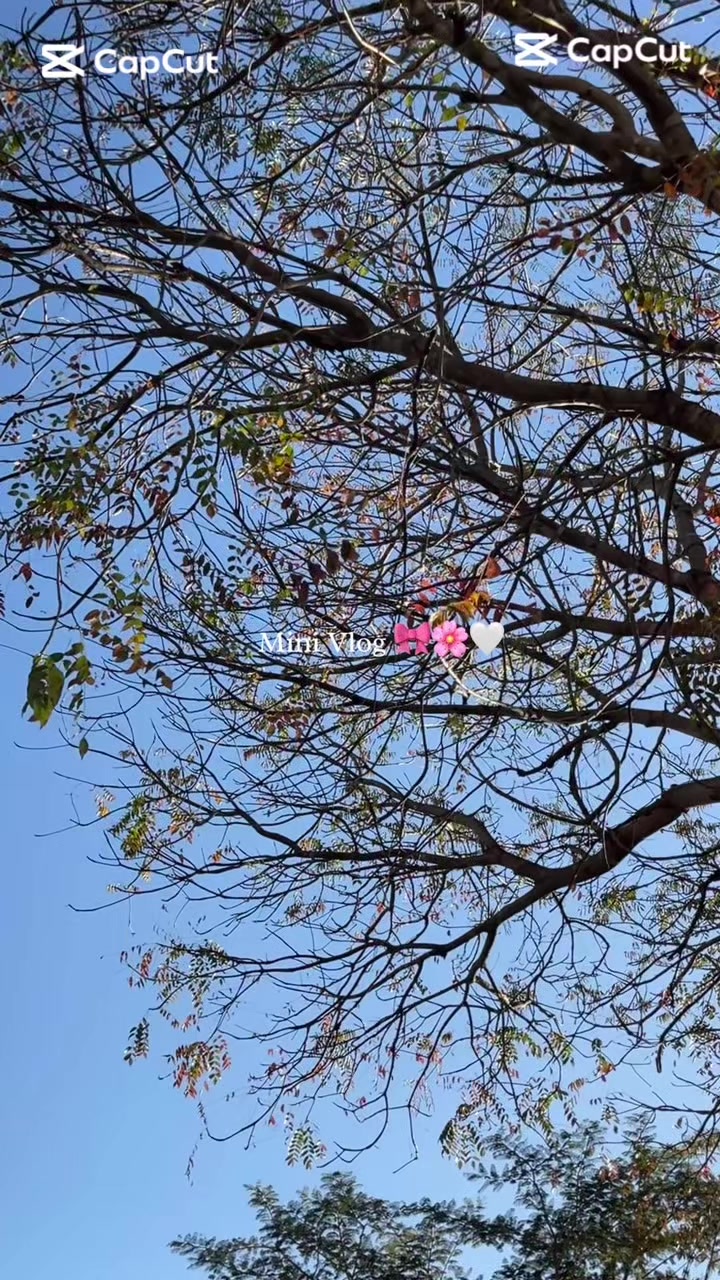 @𝐂𝐡𝐞𝐟 𝐑𝐨𝐩𝐚ᥫ᭡