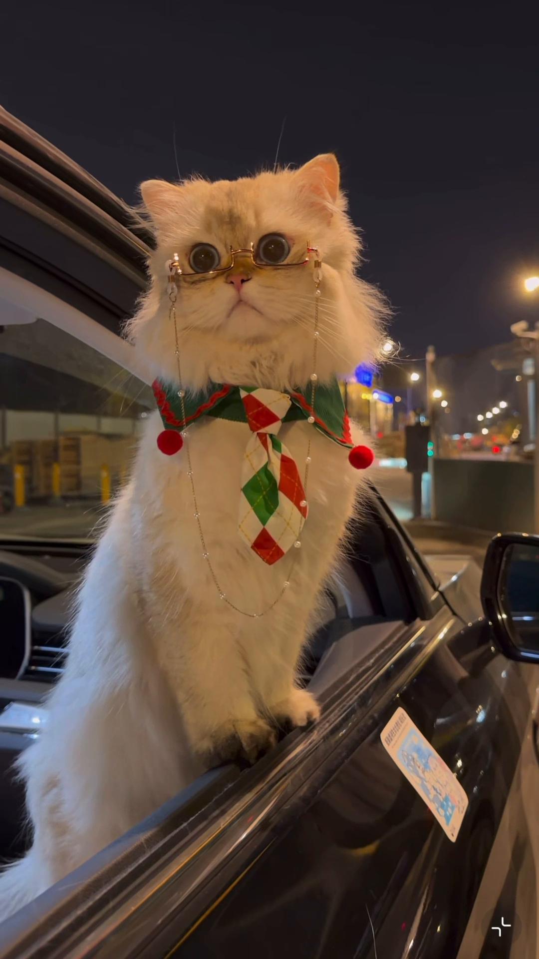 @My Daily Dose of Aww