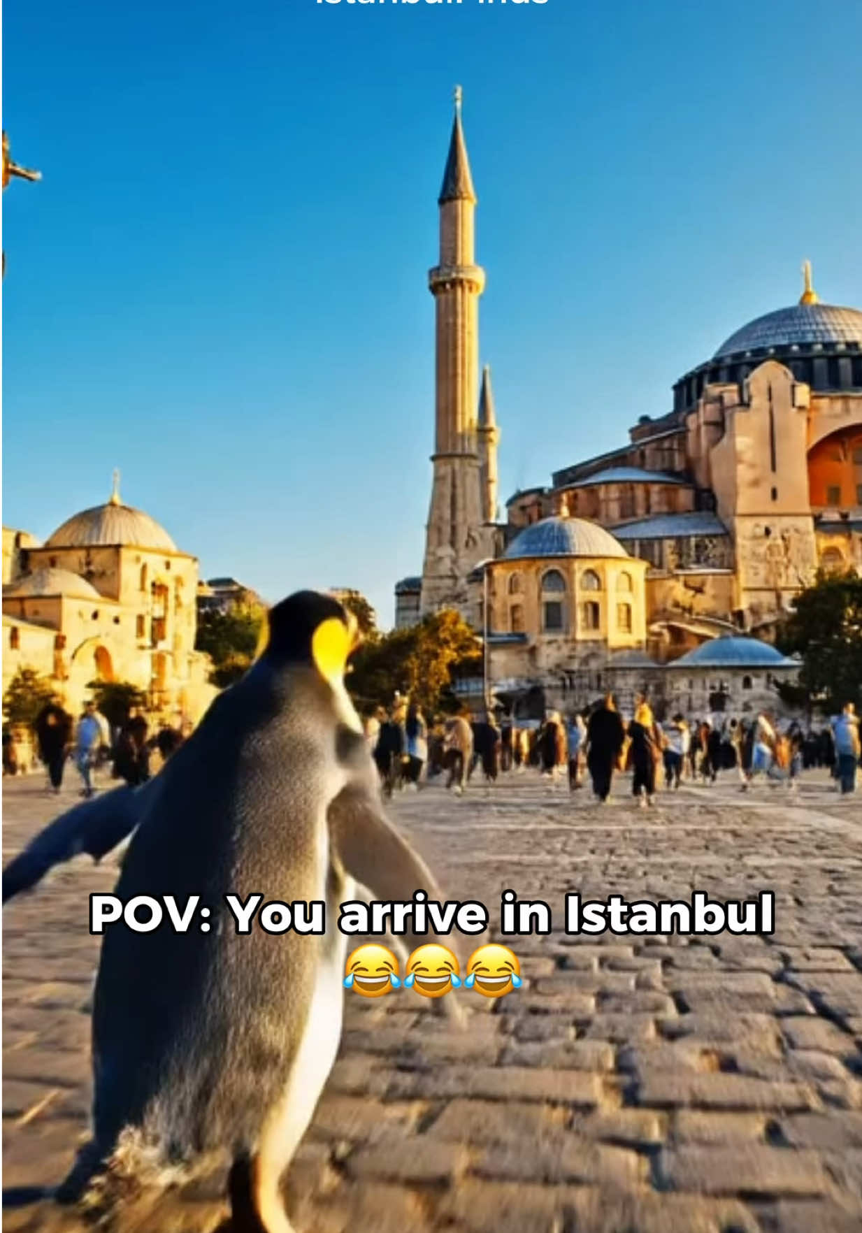 @IstanbulFinds🇹🇷
