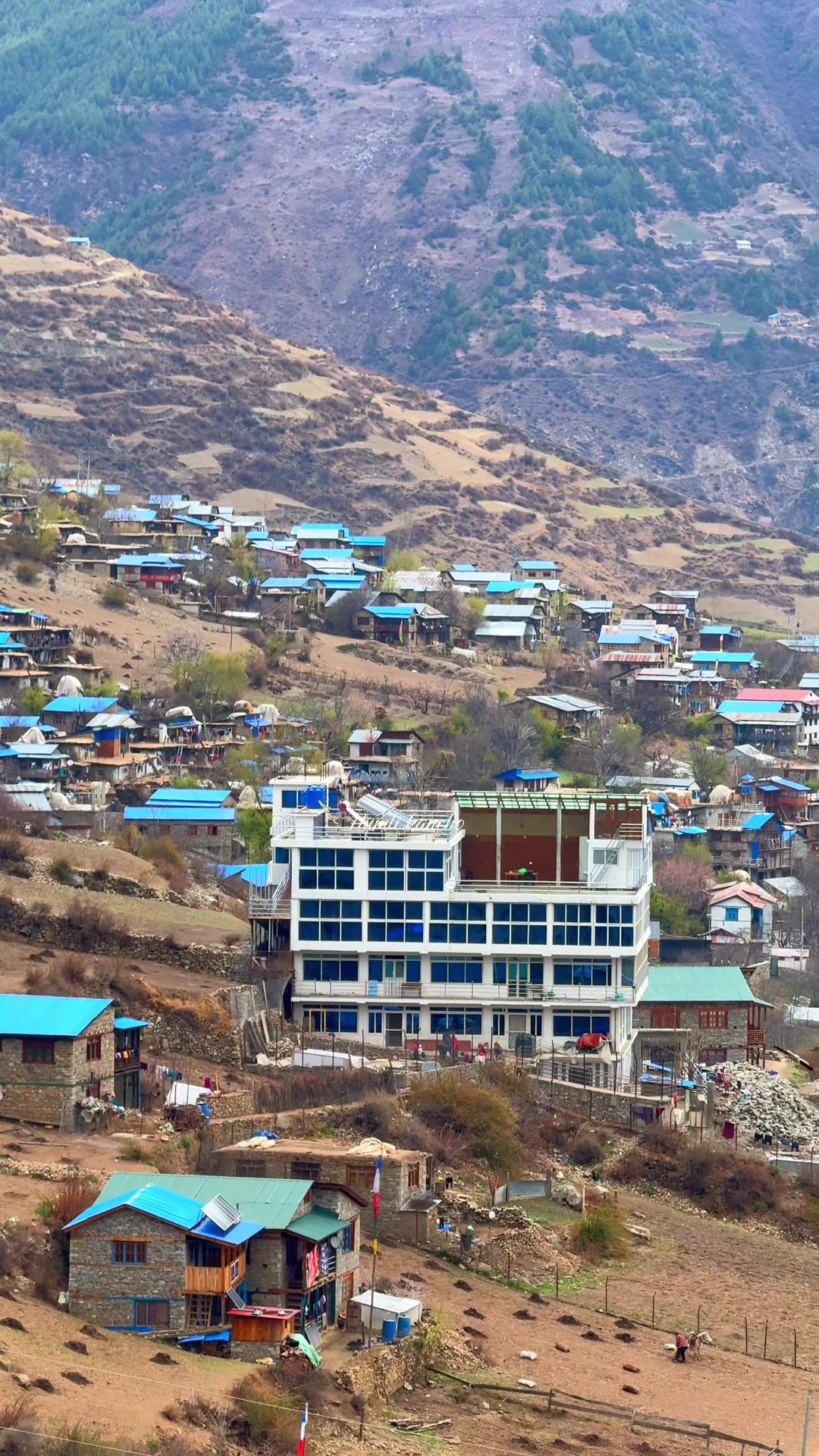 @हुम्ली&ensp;कान्छो