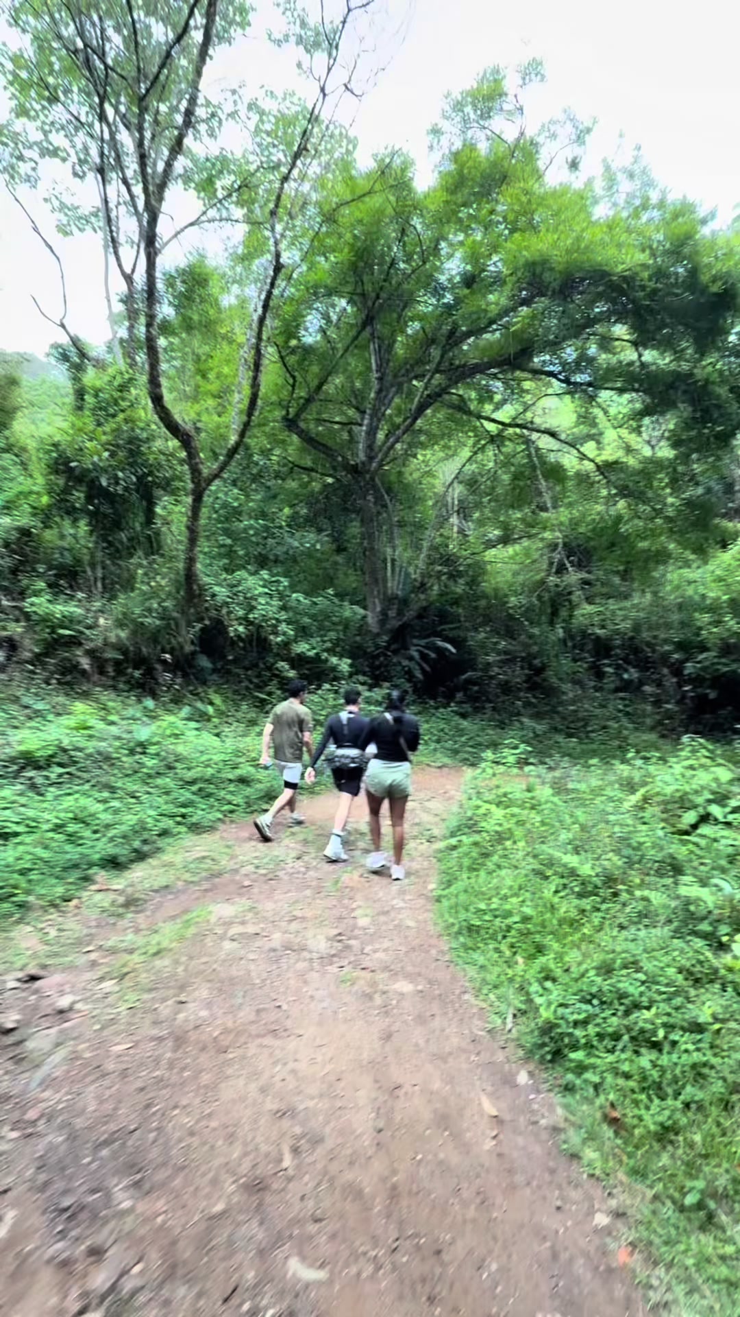 @Sofía Pineda