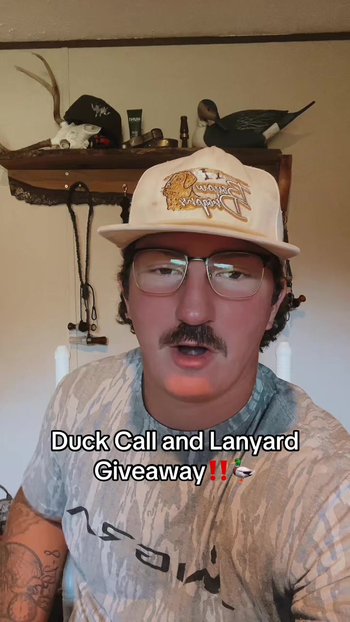 @American Mallard