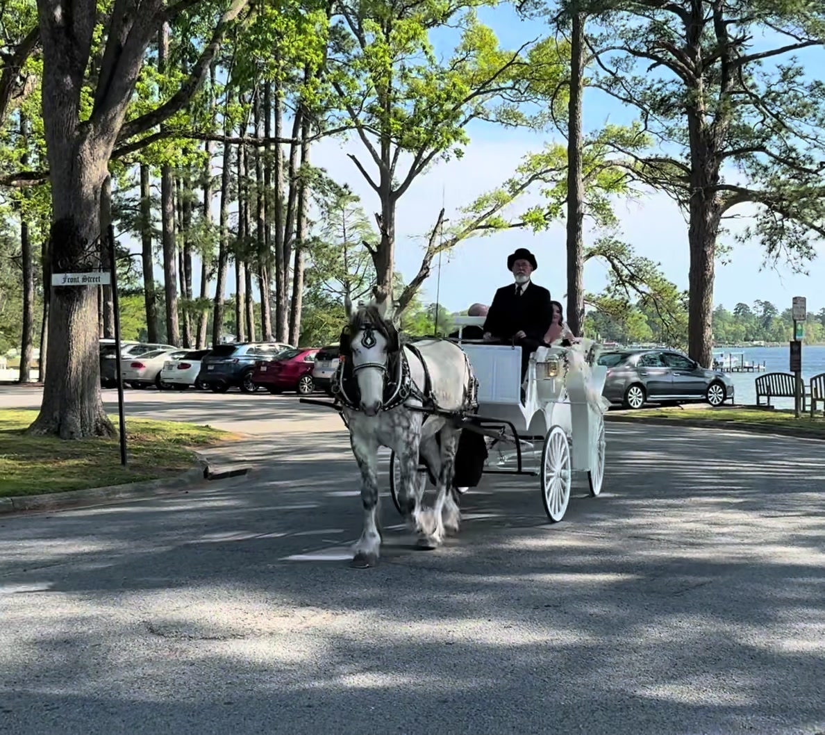 @southerncharmcarriages
