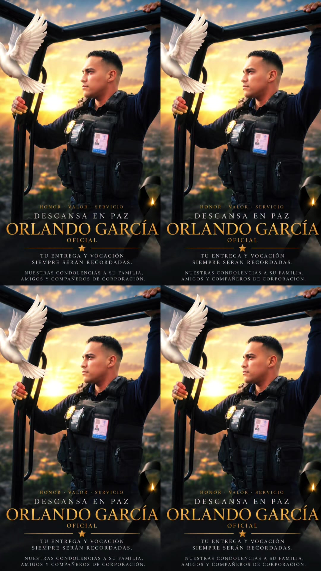 @oscar salvador sanchez farias