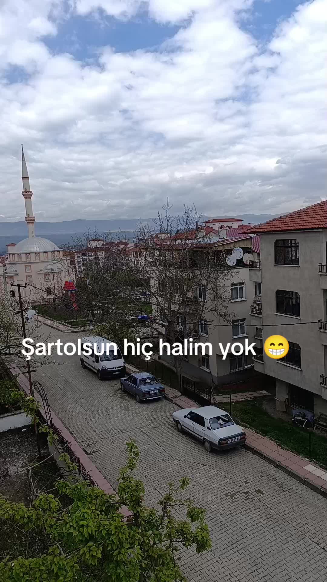 @papatya 🌼
