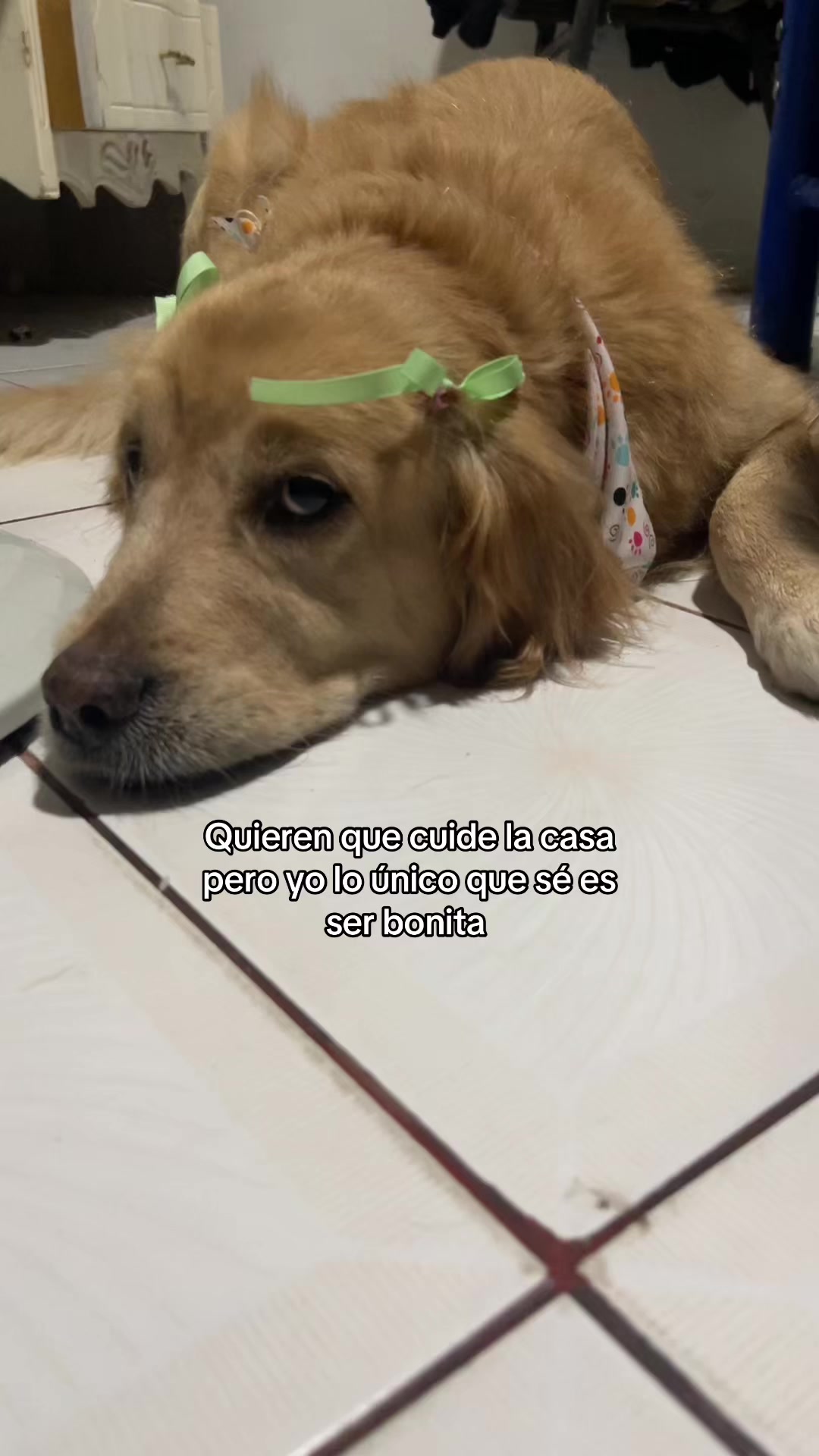 @𝕃𝕒𝕦 𝕄𝕟𝕟𝕕𝕫