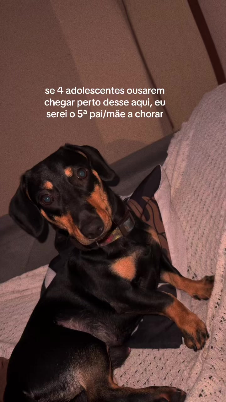@Thállys Ferraz