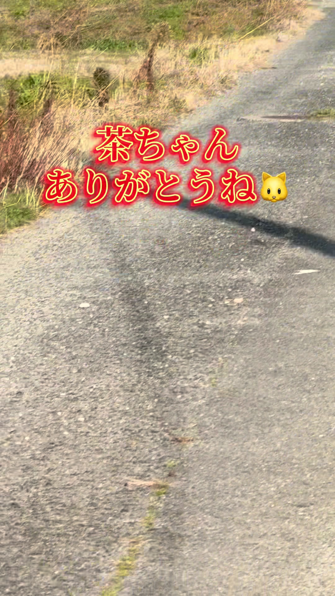 @JUN🍓👑農家のオバタン