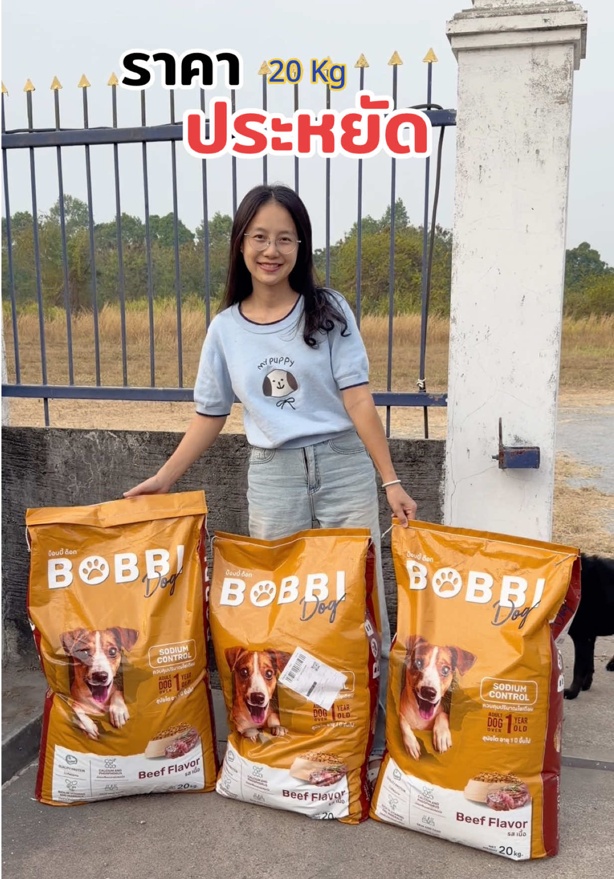 @เอ๋เอ๋รักหมาแมวจร