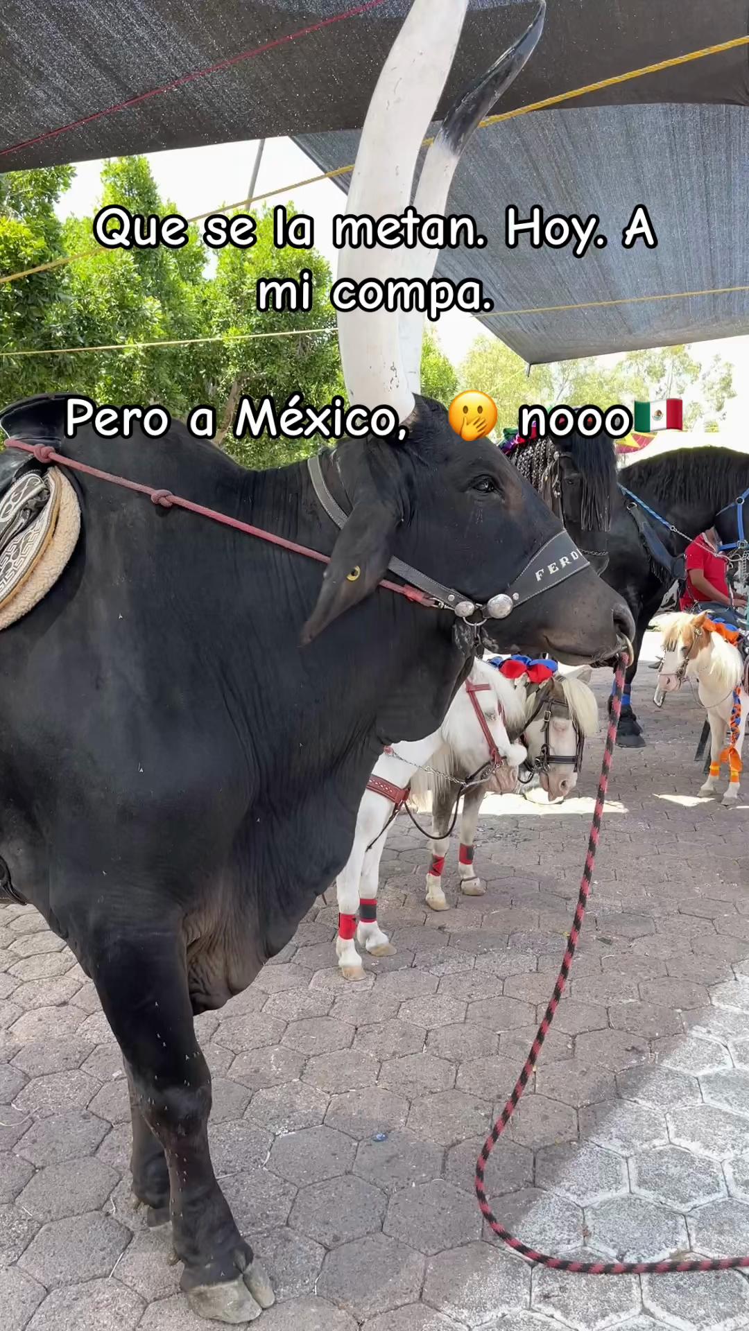 @hernandez22_eldela675
