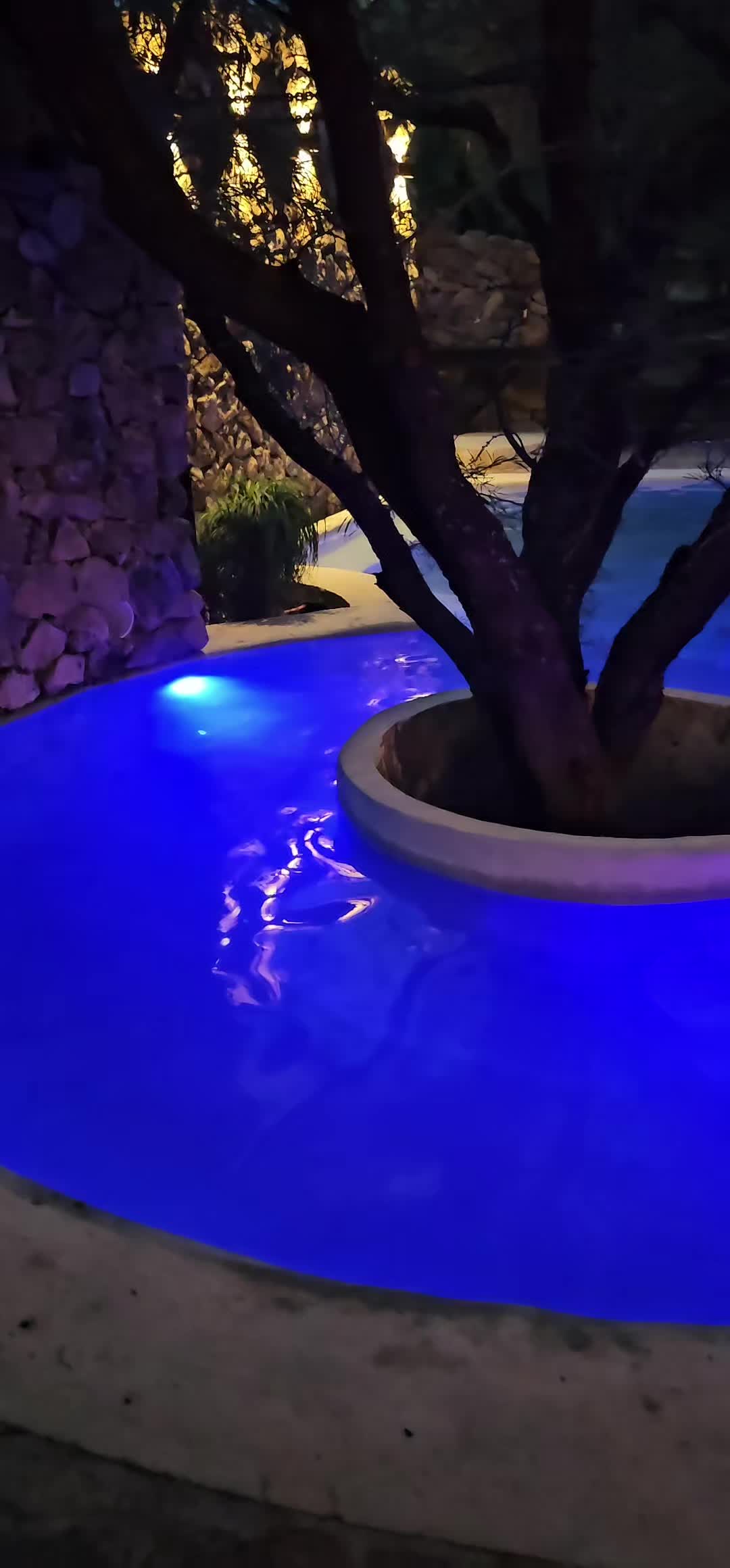 @memohuerta