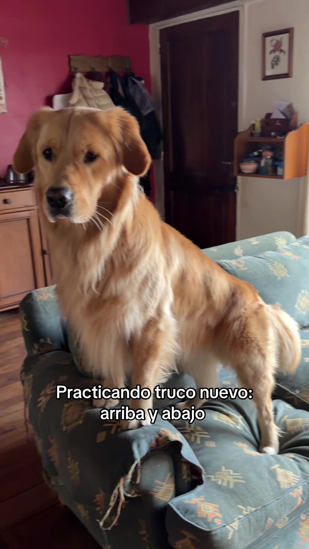 @Narco🐕🐾🐾