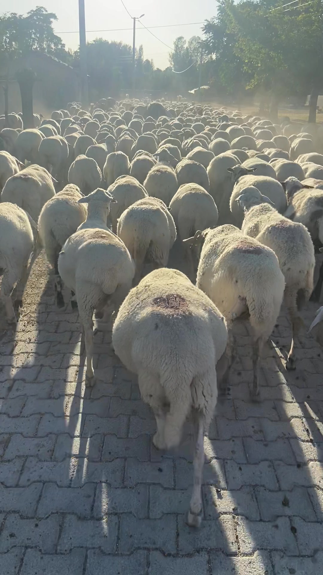 @Burak &Ouml;nal