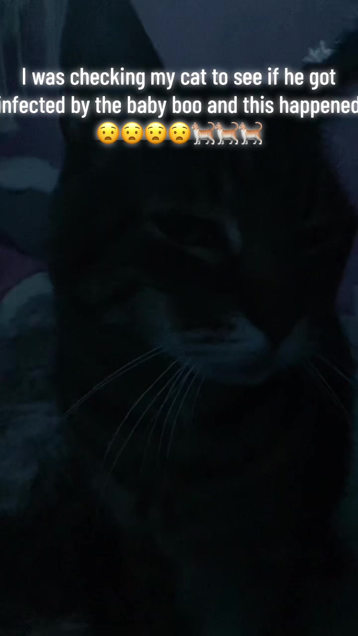 @kat_gurl