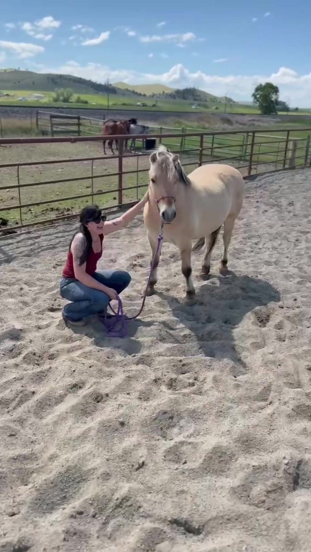 @Big Sky Horse Sales