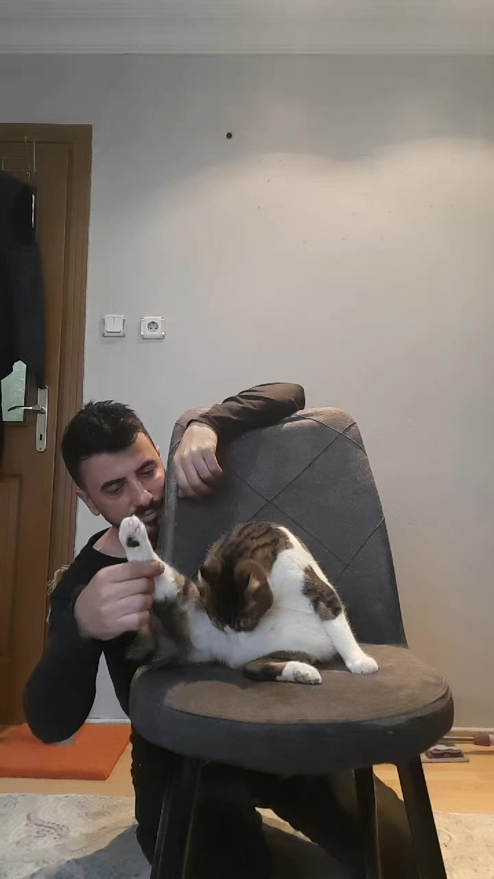 @Metin Doğan