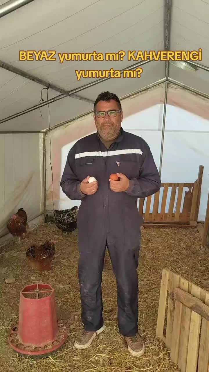 @Vet. Hekim Bülent SEZER