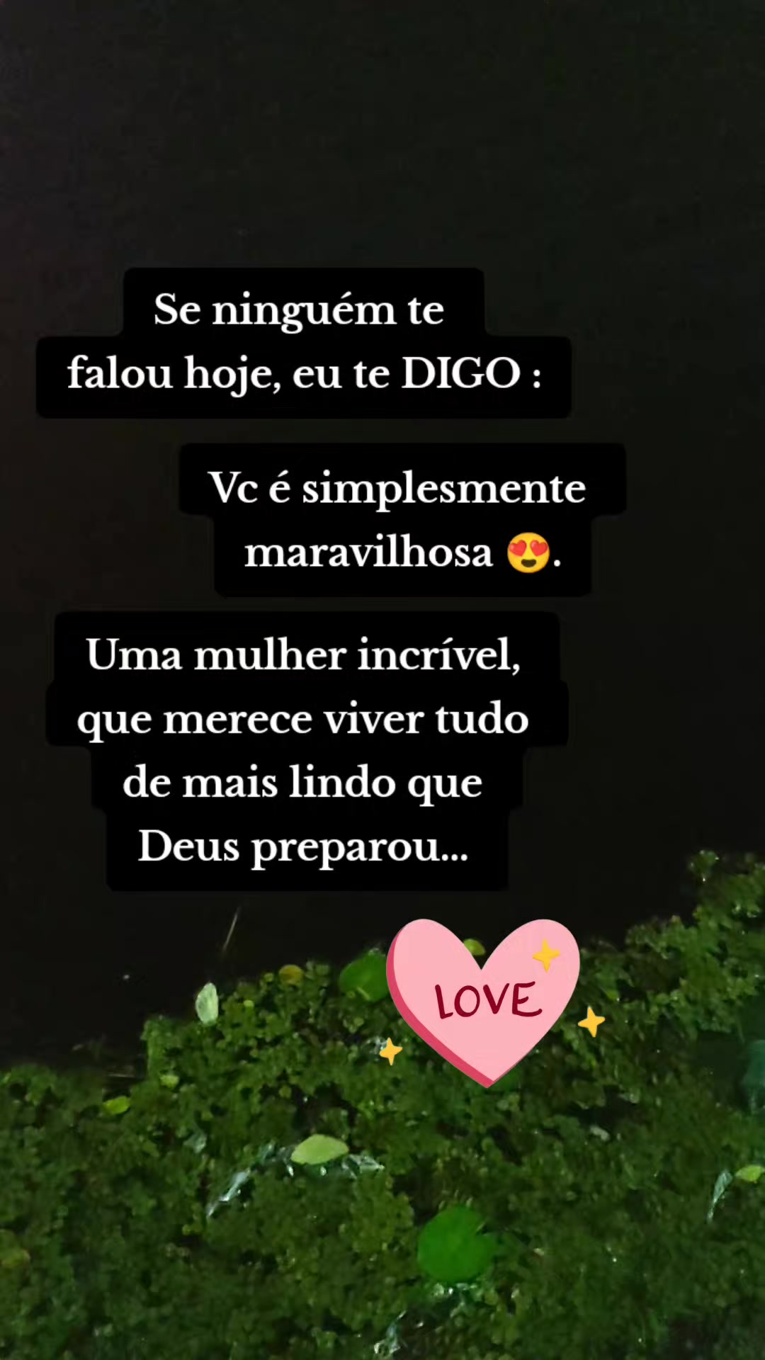 @Miguel Ramos arcanjo