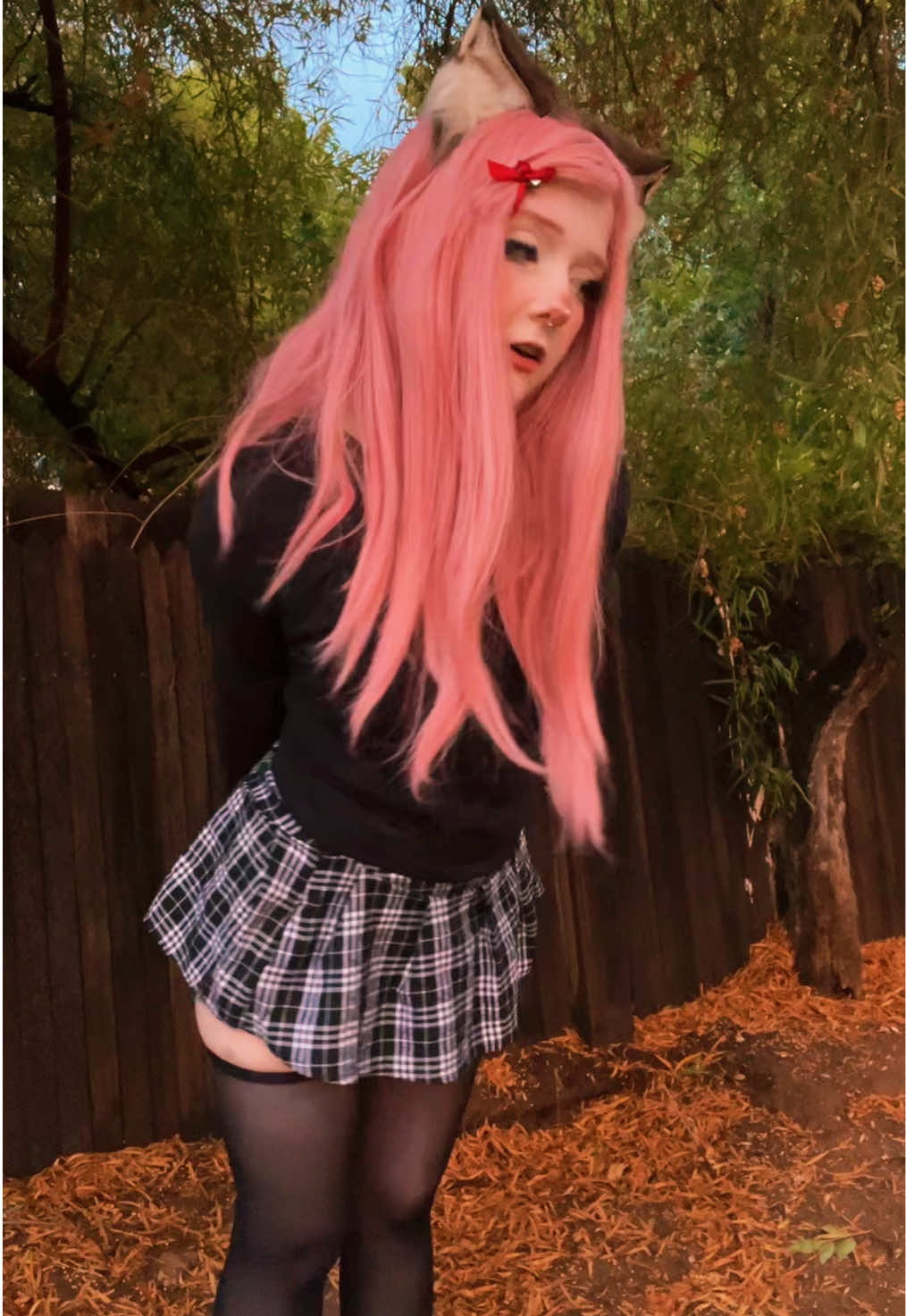 @≽^•⩊•^≼