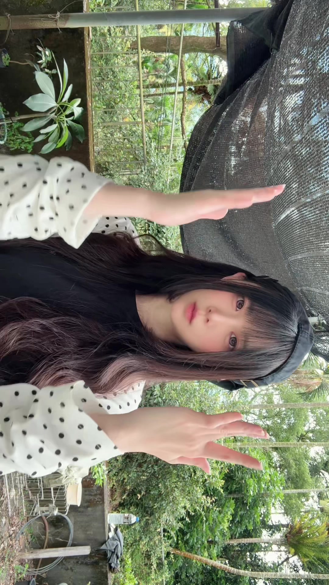 @嗷嗷嗷嗷𖠌 🐺