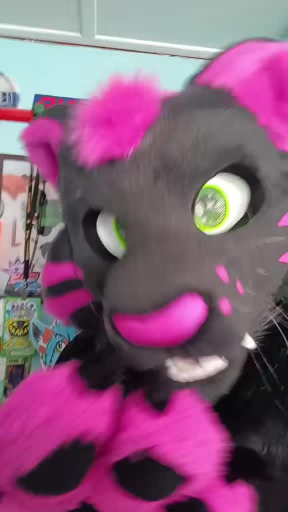 @dingbat 🐾 mew,mew 🐾 🔜 AC26