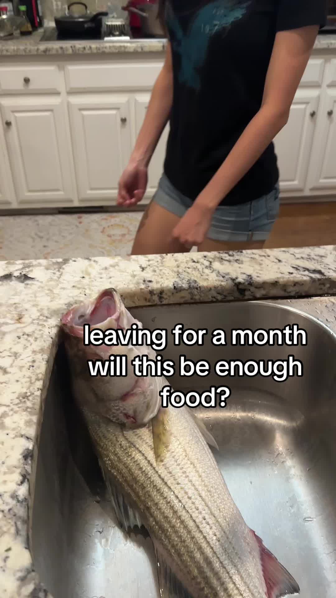 @snaptocks (also on yt)