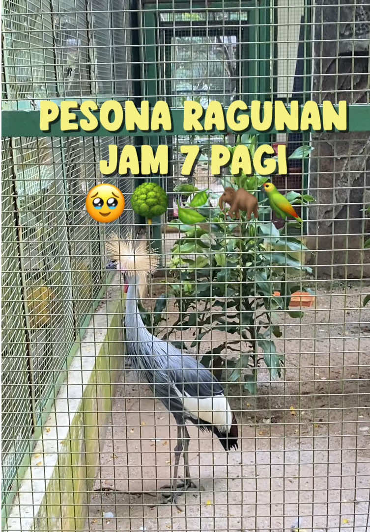 @Alfy | Sobat Jalanmu🏂