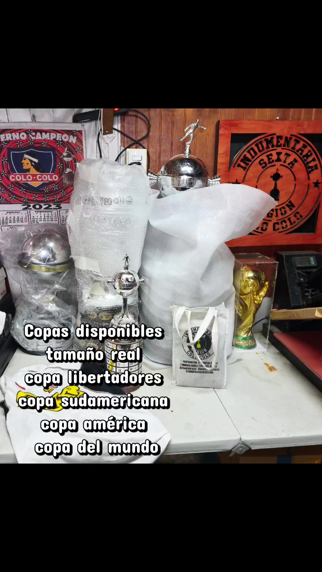 @indumentaria_colocolo_6