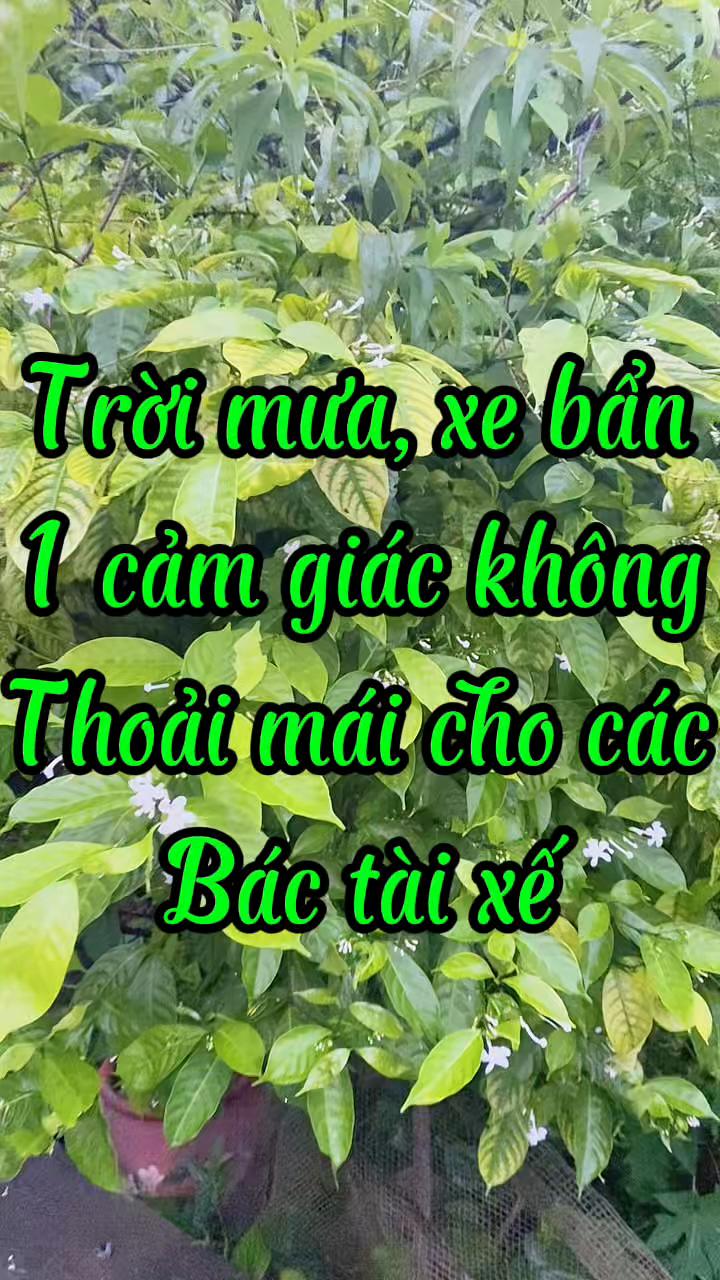 @Phụ kiện ô tô Hoàng Bách