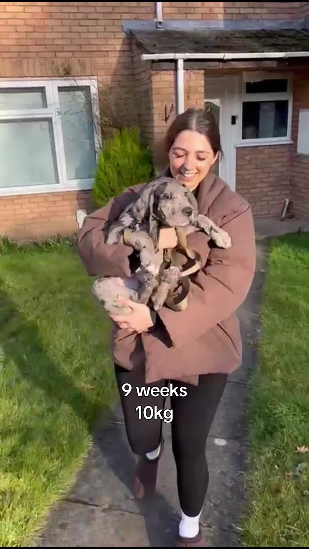 @Magnus the GREAT DANE