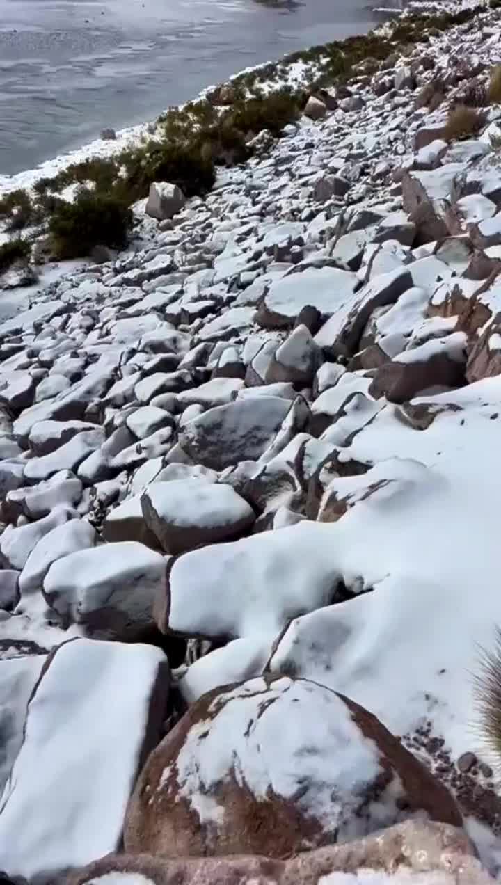 @Arica es Bacán