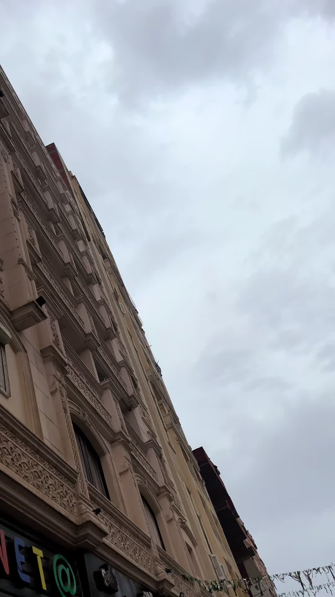 @بابا المجال