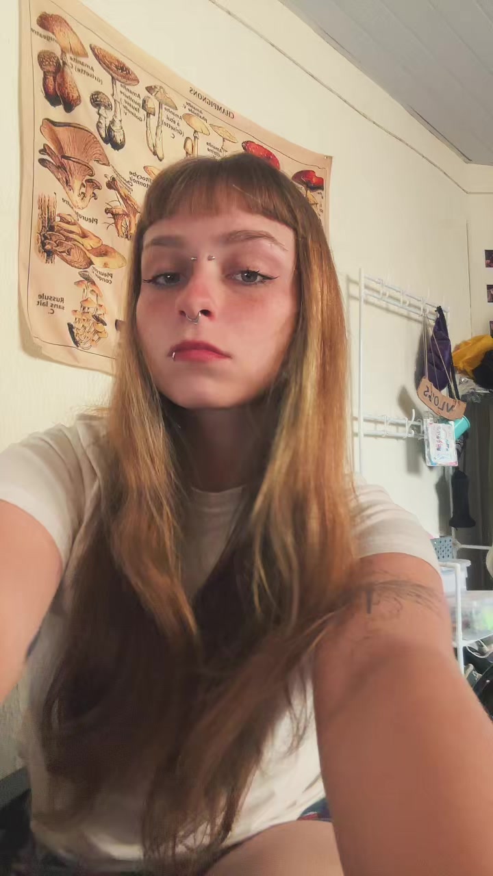 @s0phixnovamente