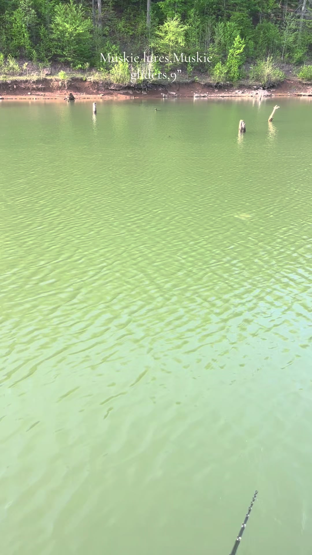 @JW Lures