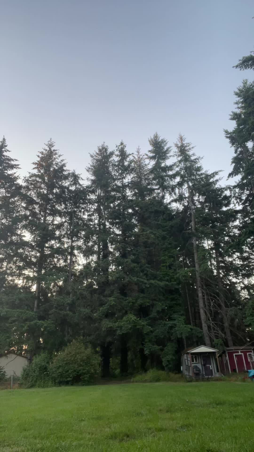 @aidenptrsn