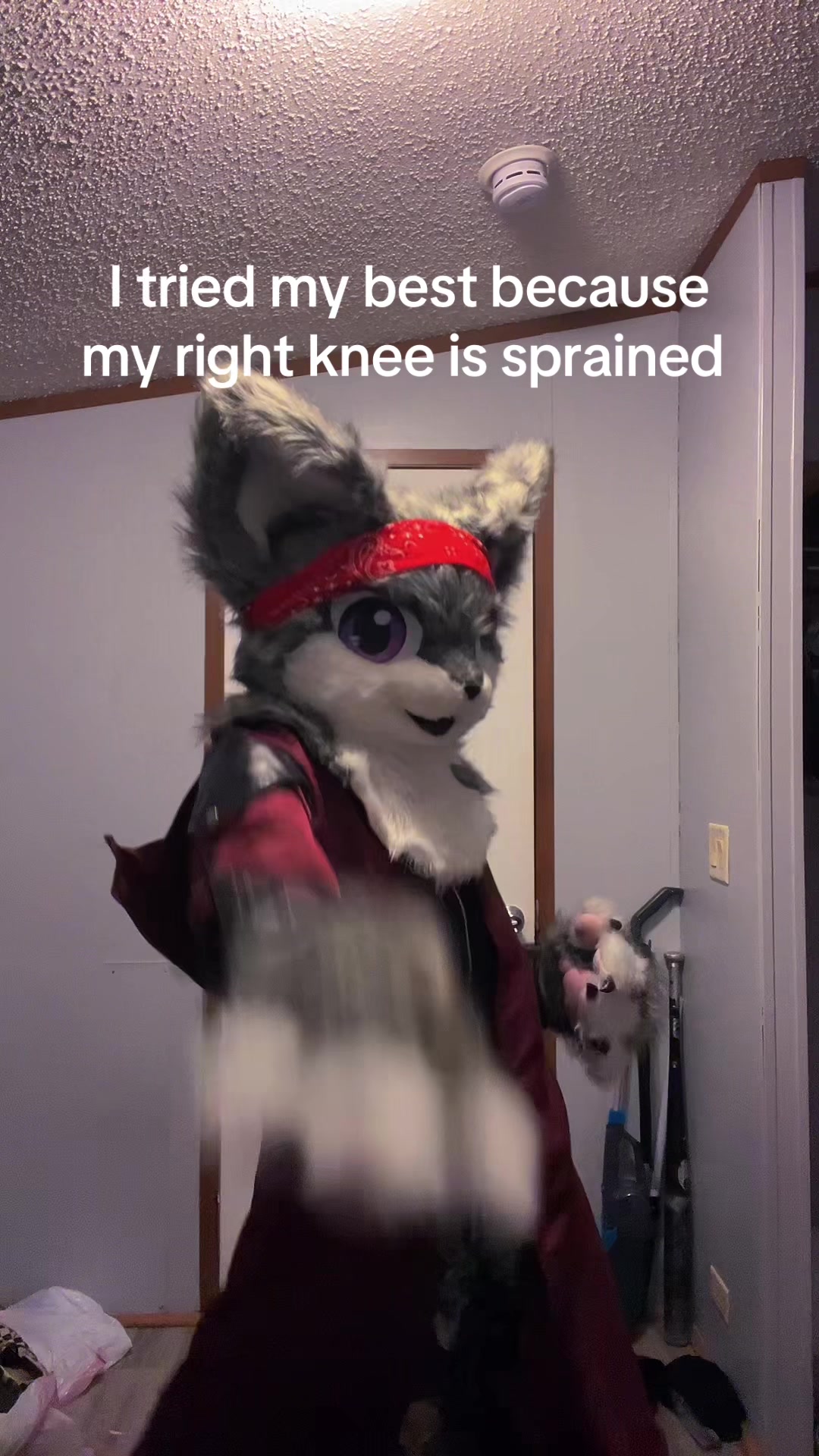 @karai_WolfDragon23
