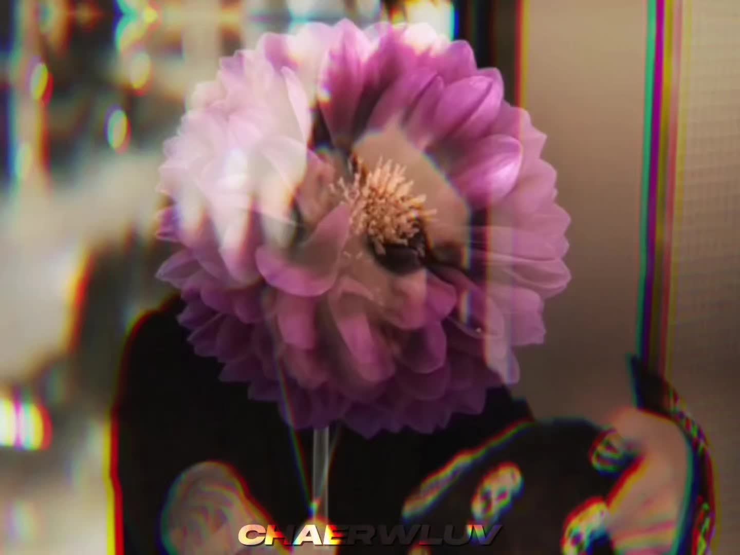 @โ
๐๐๐๐๐๐โ