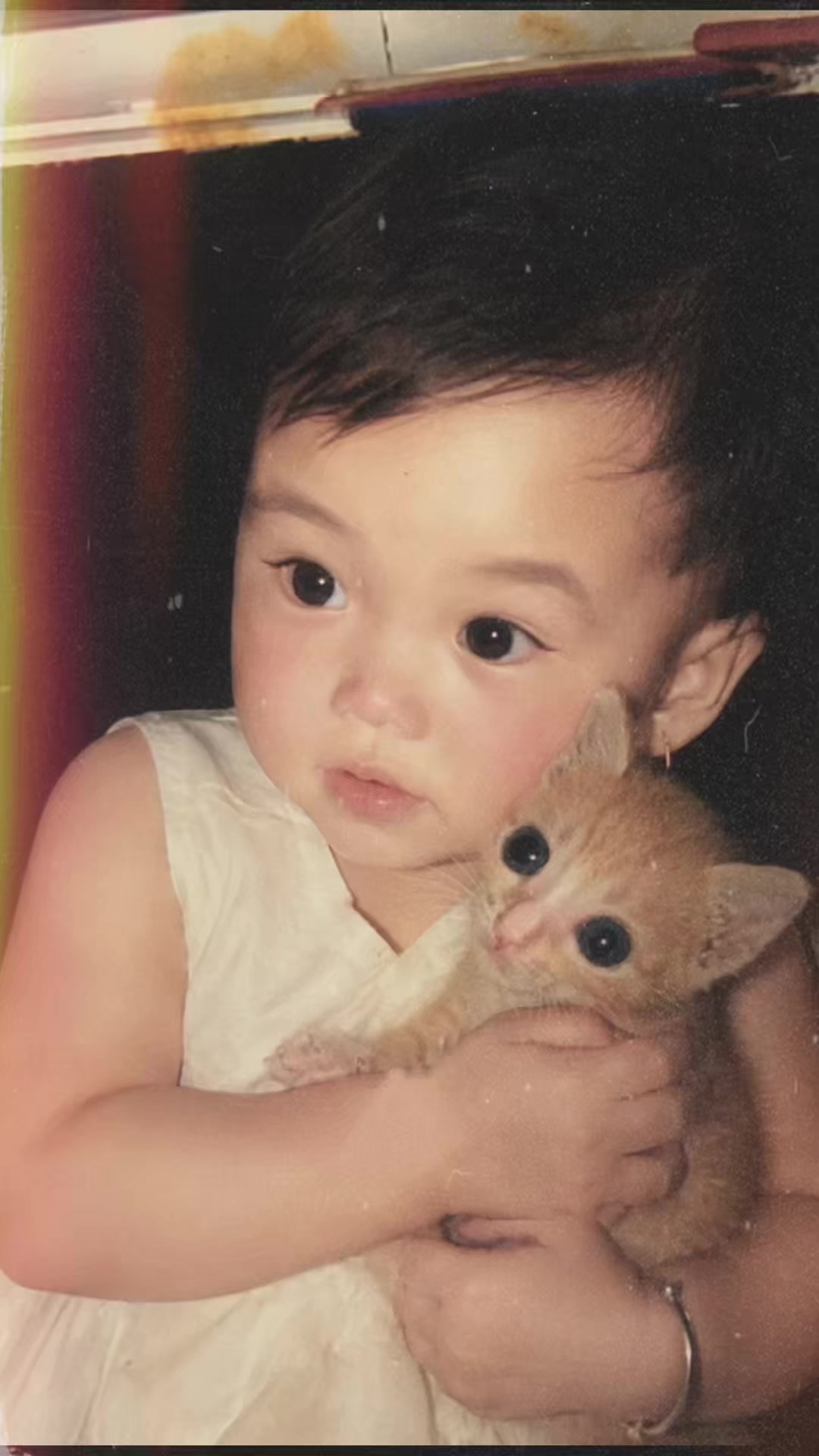 @Trú mèo tên mimi